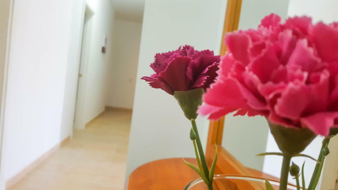 Atico Gran Tarajal Daire Dış mekan fotoğraf